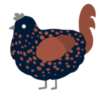 A tumblr and russet chicken with a speckle pattern