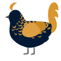 A tumblr and orange chicken with a half-lace pattern
