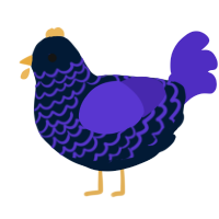 Even Closer, a tumblr and indigo chicken with a lace pattern