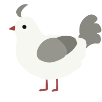 A white and ash chicken