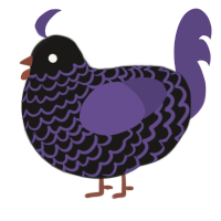 Unraveling, a sable and overcast chicken with a lace pattern