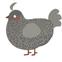 A grey and ash chicken with a double-lace pattern