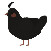 A sable chicken with a lace pattern