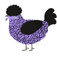 A lilac and sable chicken with a double-lace pattern