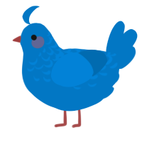 A sapphire chicken with a half-lace pattern