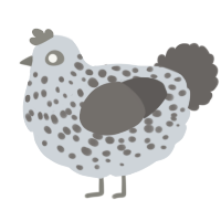 A mist and grey chicken with a speckle pattern