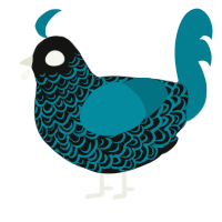 Sir Lacelot, a black and sea chicken with a double-lace pattern