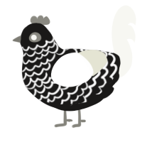 A sable and white chicken with a lace pattern
