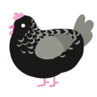 (unnamed), a sable and ash chicken with a half-lace pattern