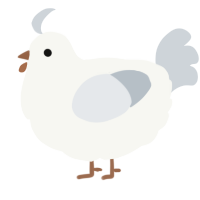 A white and mist chicken