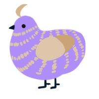 A lilac and beige chicken with a bar pattern