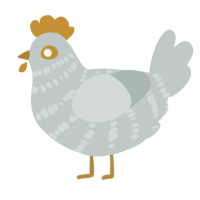 A silver chicken with a bar pattern