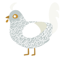 A silver and white chicken with a double-lace pattern