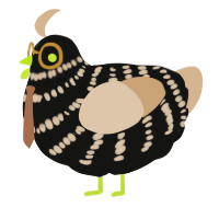 A black and beige chicken with a bar pattern