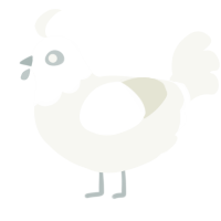 A white chicken with a head pattern