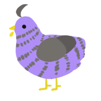 A lilac and grey chicken with a bar pattern