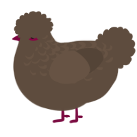 A bark chicken with a half-lace pattern