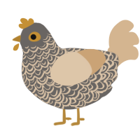 Savanah, a grey and beige chicken with a double-lace pattern