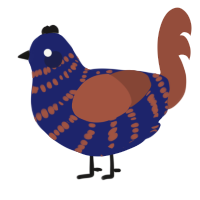 A navy and russet chicken with a bar pattern