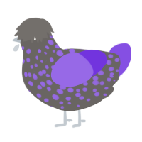 Co, a grey and blurple chicken with a speckle pattern