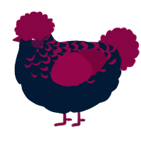 A tumblr and maroon chicken with a half-lace pattern