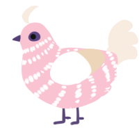 A rose and cream chicken with a bar pattern