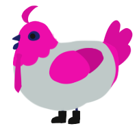 Teto, a silver and fuchsia chicken with a head pattern