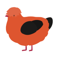 A vermilion and sable chicken