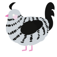 A mist and black chicken with a bar pattern