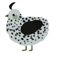 A silver and black chicken with a speckle pattern
