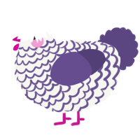 A white and overcast chicken with a lace pattern