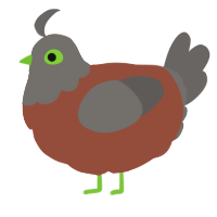 A russet and grey chicken with a head pattern