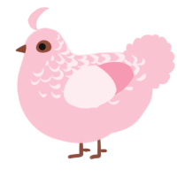 A rose chicken with a half-lace pattern