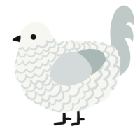 A white and silver chicken with a lace pattern