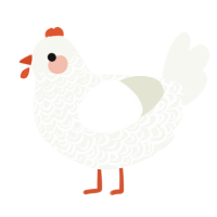A white chicken with a double-lace pattern