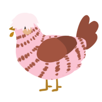 A rose and russet chicken with a bar pattern