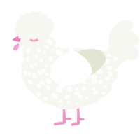 A white chicken with a speckle pattern