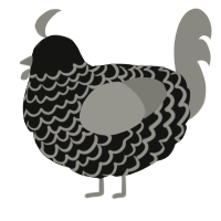 A black and ash chicken with a lace pattern