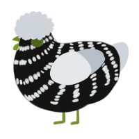 A black and mist chicken with a bar pattern