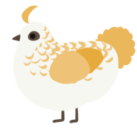 A white and honey chicken with a half-lace pattern