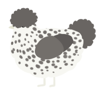 A white and grey chicken with a speckle pattern