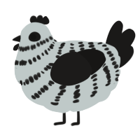 A silver and sable chicken with a bar pattern