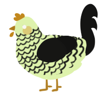 A apple and black chicken with a lace pattern