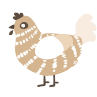 A beige and cream chicken with a bar pattern