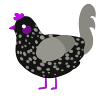 A black and ash chicken with a speckle pattern