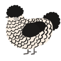 A cream and sable chicken with a lace pattern