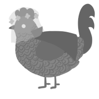 A ash and grey chicken with a double-lace pattern
