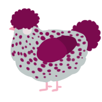 A silver and wine chicken with a speckle pattern