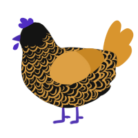 Gilded Ultraviolet, a black and orange chicken with a double-lace pattern