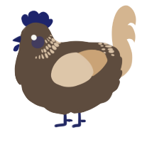 A bark and beige chicken with a neck-band pattern